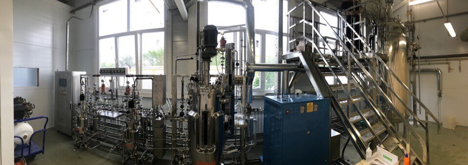 Produktion av enzymer