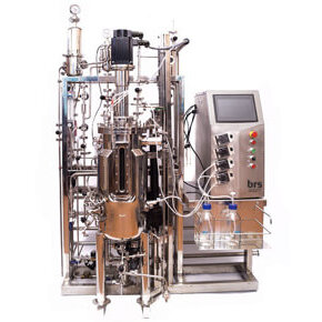 bioreactor