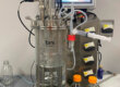 Laboratory bioreactor 10L with an optical density sensor