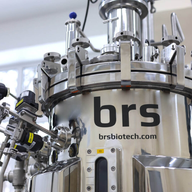 Pilot line of fermentors for synthesis of microorganisms