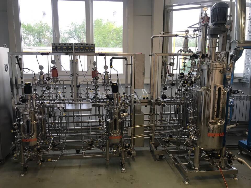 Produktion av enzymer