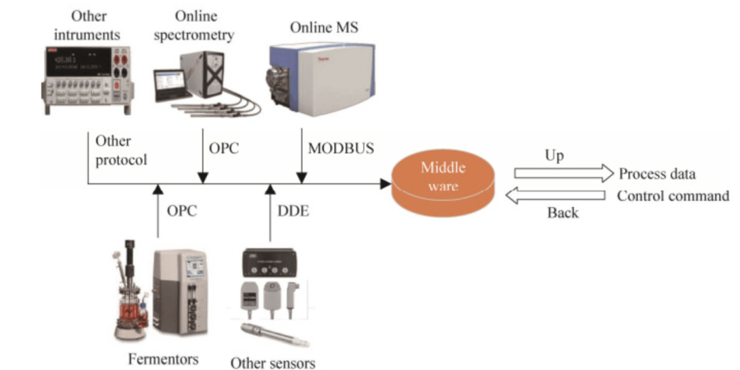 microbial-fermentation-processes