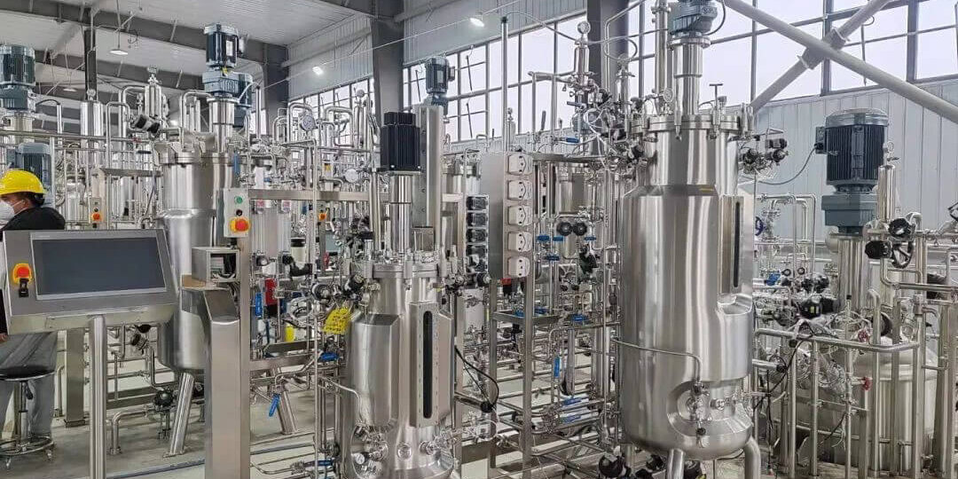 Escherichia coli fermentation