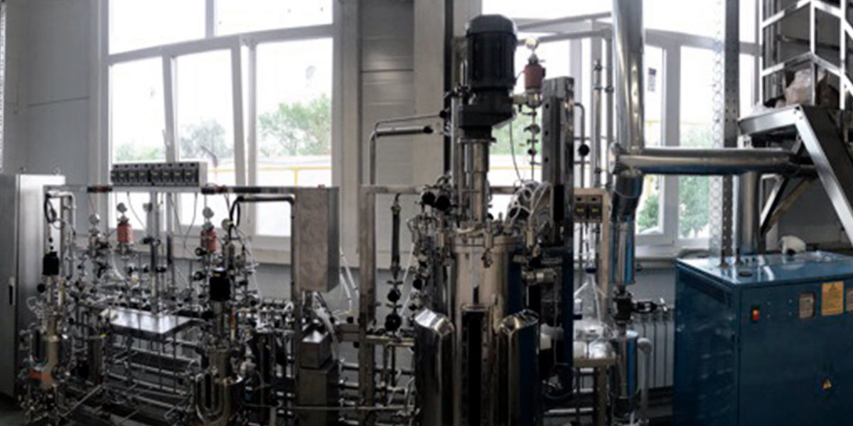Line for testing the production of biocatalysts