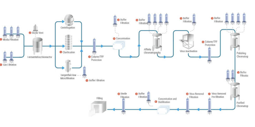 solutions-for-biopharmaceuticals