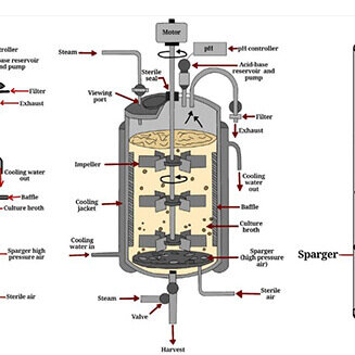 Classification of Bioreactor