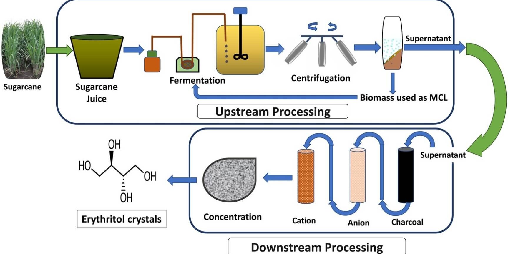 Production of Erythritol