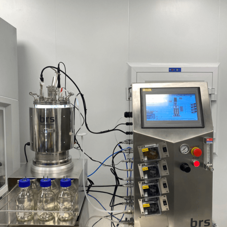 Glass photobioreactor 5L