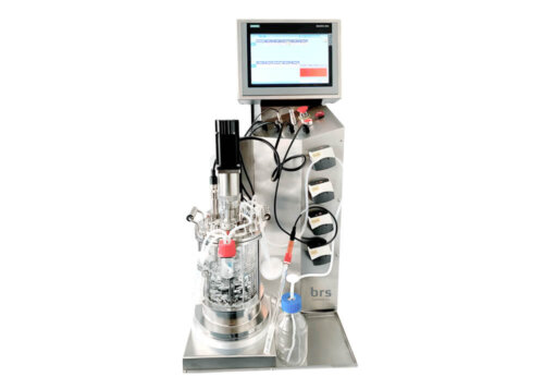 laboratory fermentor