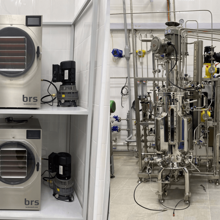 Explosion proof 50 liters bioreactor with freeze dryers