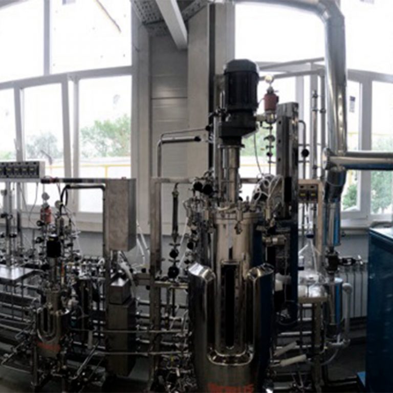 Line for testing the production of biocatalysts