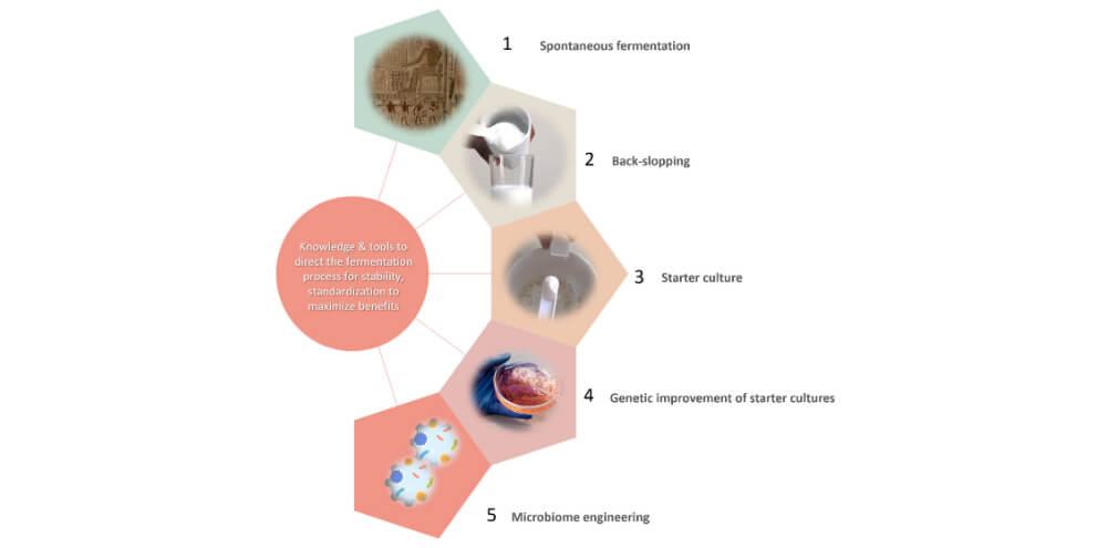 food-fermentation-agents