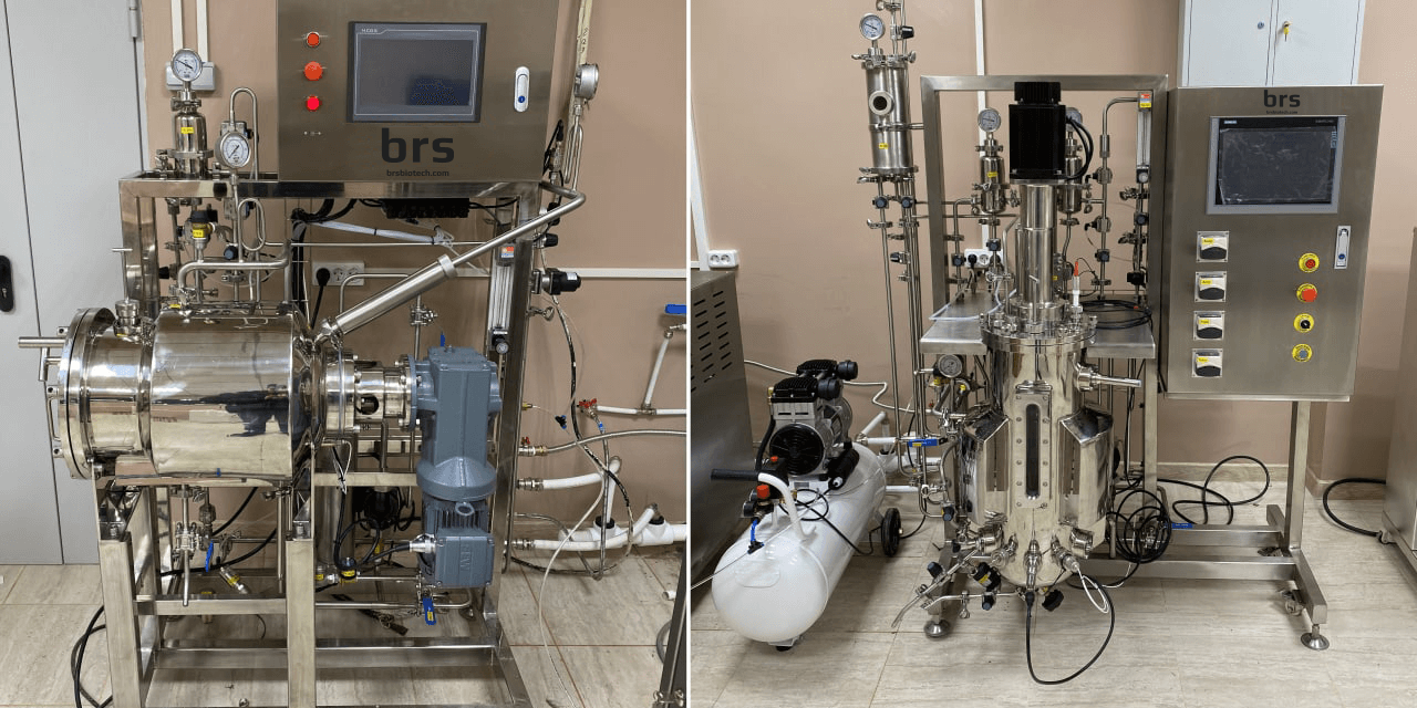 Kiinteän olomuodon käyminen