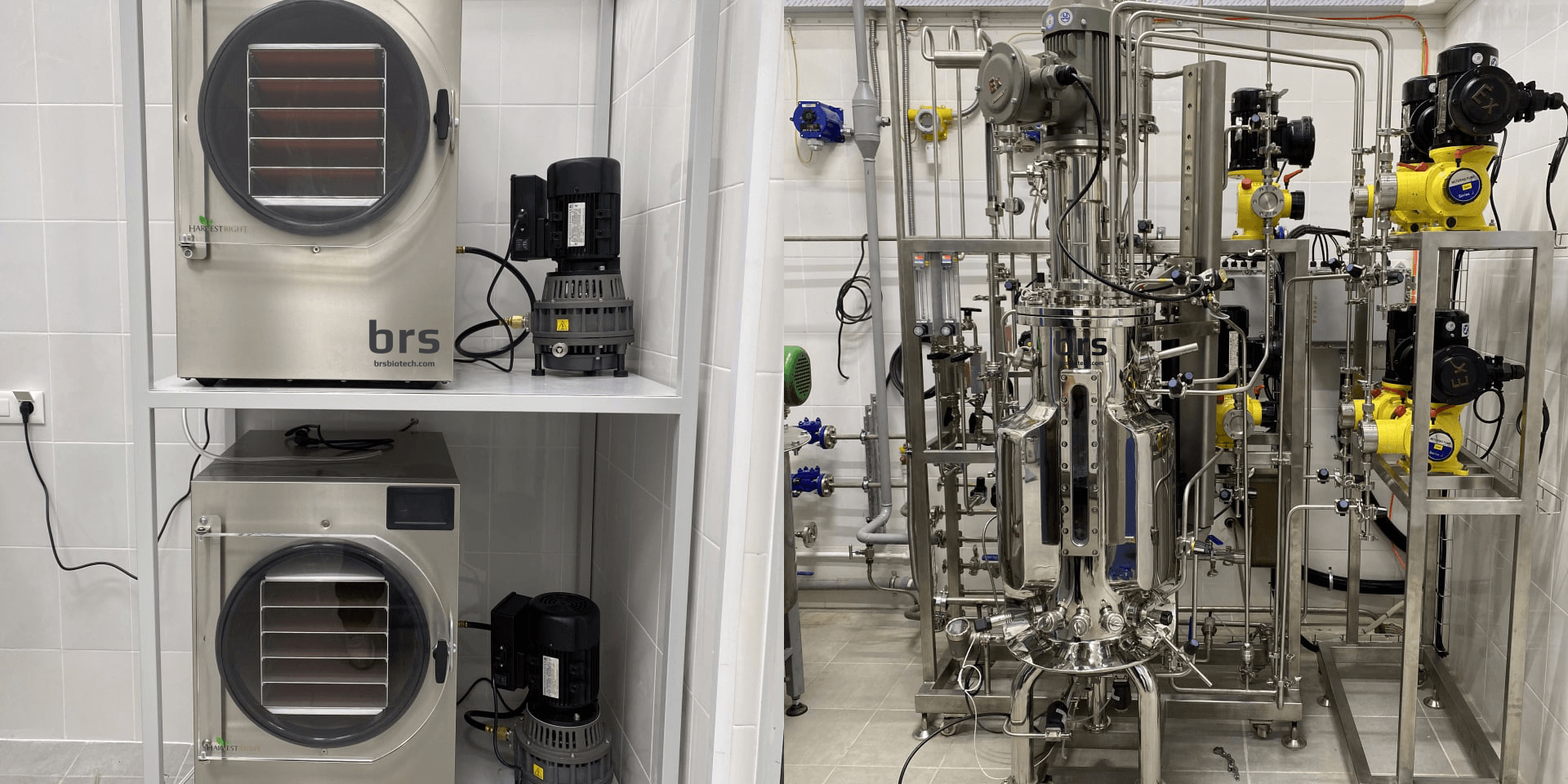 Explosion proof 50 liters bioreactor with freeze dryers