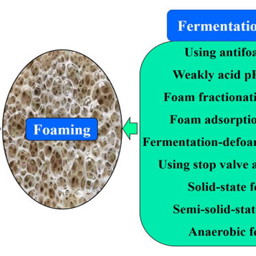 fermentation-foam-control