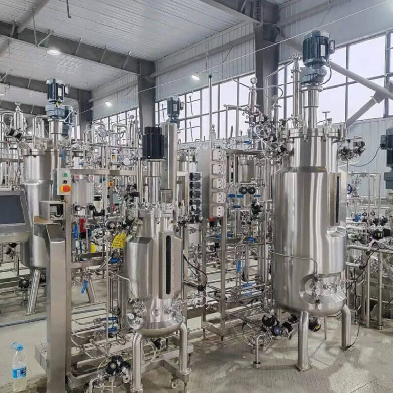 Escherichia coli fermentation