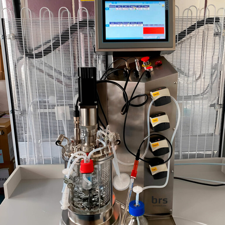 Laboratory glass bioreactor 3L