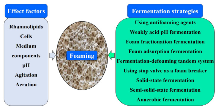 fermentation-foam-control